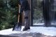 Лопата для уборки снега Plantic Snow Light 12001-01 облегченная - фото №3